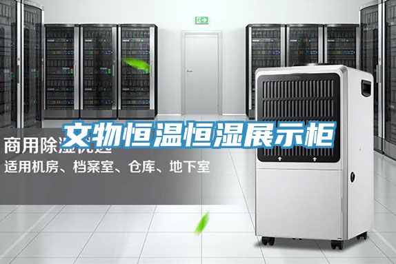 文物恒温恒湿展示柜