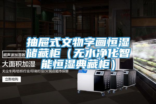 抽屉式文物字画恒湿储藏柜（无水净化智能恒湿典藏柜）