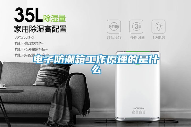 电子防潮箱工作原理的是什么