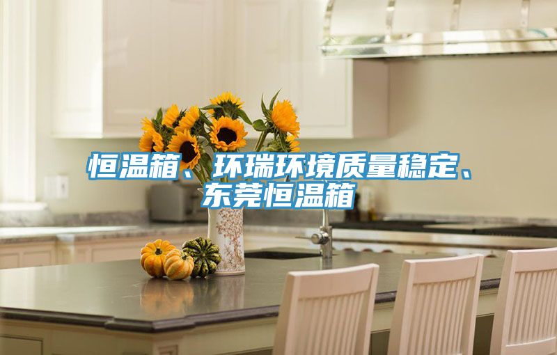 恒温箱、环瑞环境质量稳定、东莞恒温箱