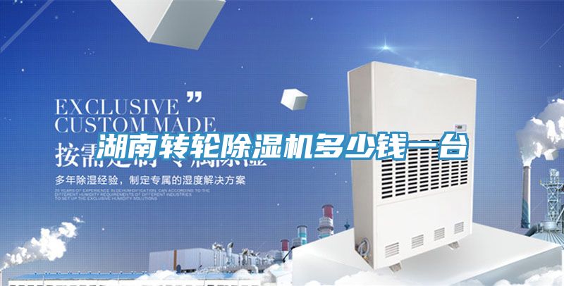 湖南转轮除湿机多少钱一台