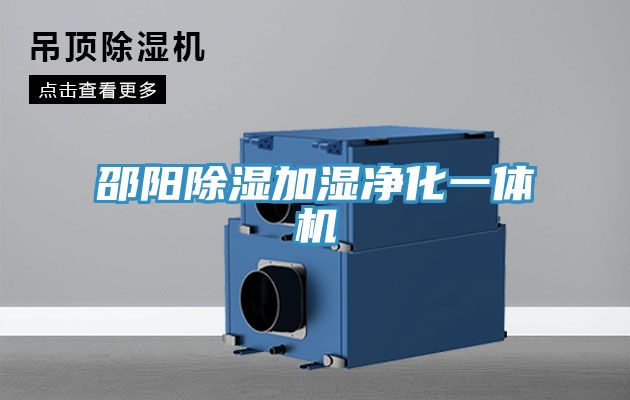 邵阳除湿加湿净化一体机