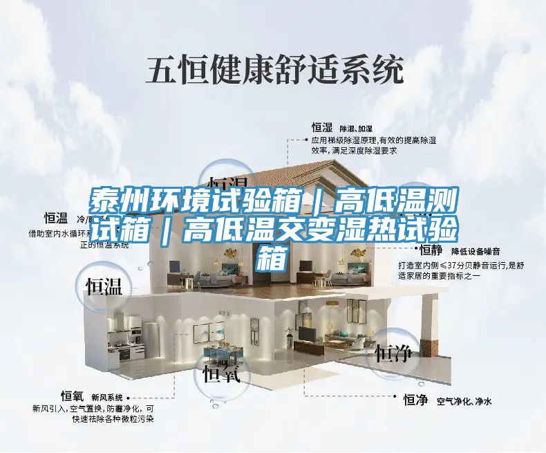 泰州环境试验箱｜高低温测试箱｜高低温交变湿热试验箱
