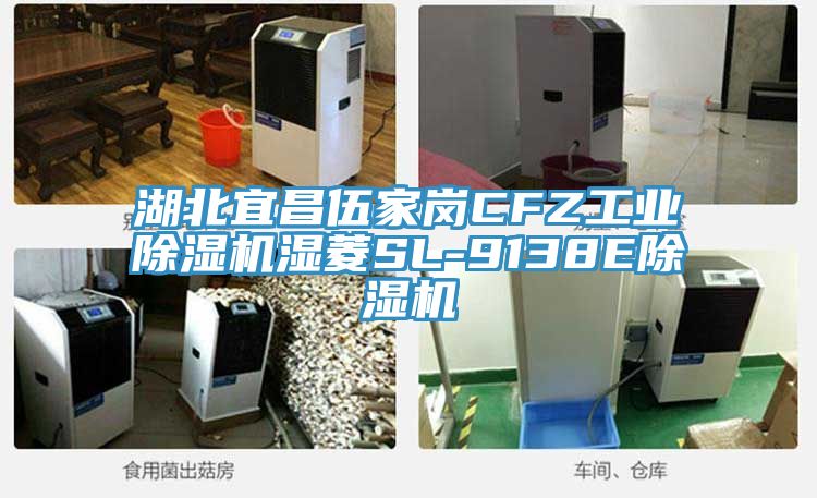 湖北宜昌伍家岗CFZ工业除湿机湿菱SL-9138E除湿机