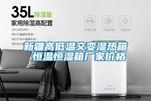 新疆高低温交变湿热箱 恒温恒湿箱厂家价格