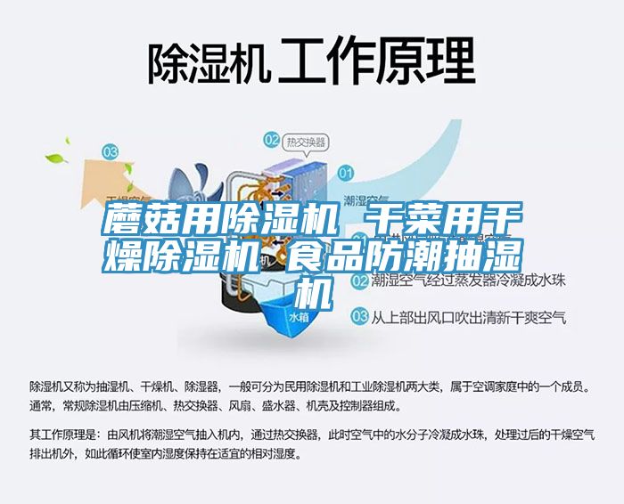 蘑菇用除湿机 干菜用干燥除湿机 食品防潮抽湿机