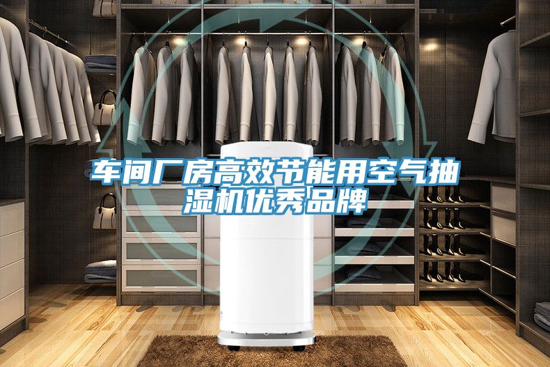 车间厂房高效节能用空气抽湿机优秀品牌