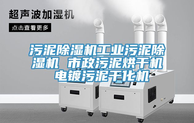 污泥除湿机工业污泥除湿机 市政污泥烘干机 电镀污泥干化机