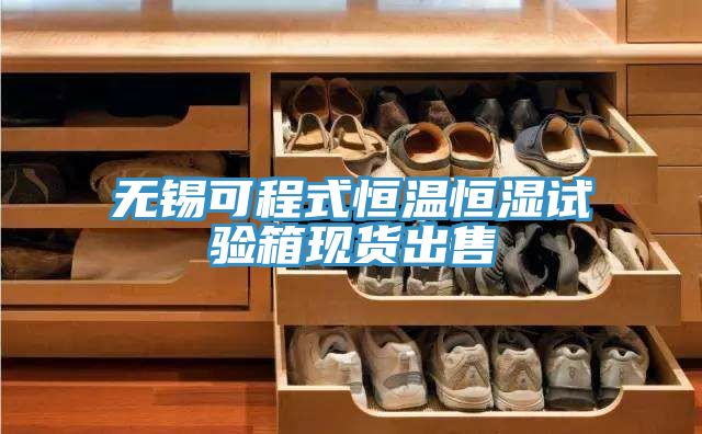 无锡可程式恒温恒湿试验箱现货出售