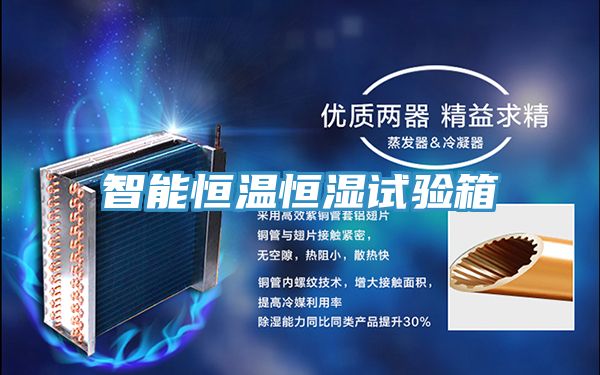智能恒温恒湿试验箱