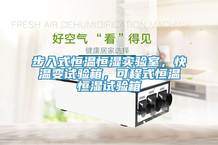 步入式恒温恒湿实验室，快温变试验箱，可程式恒温恒湿试验箱