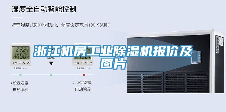 浙江机房工业除湿机报价及图片