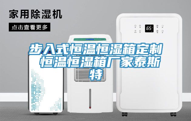 步入式恒温恒湿箱定制 恒温恒湿箱厂家泰斯特