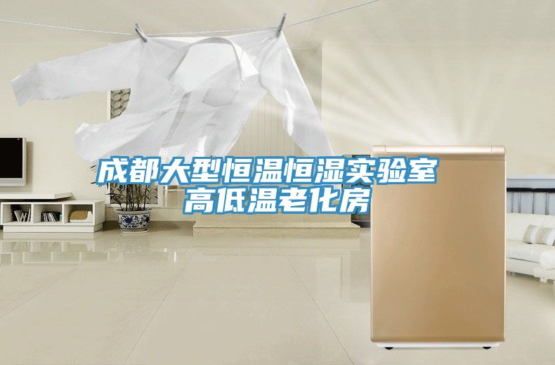 成都大型恒温恒湿实验室 高低温老化房