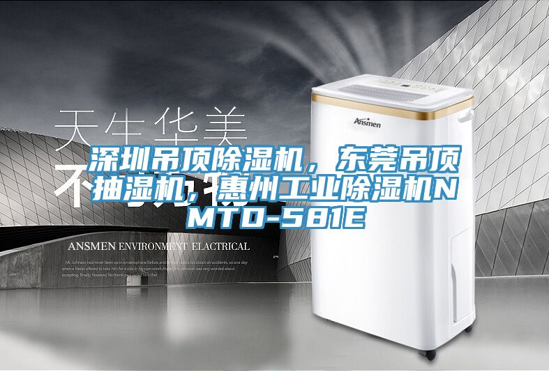 深圳吊顶除湿机，东莞吊顶抽湿机，惠州工业除湿机NMTD-581E