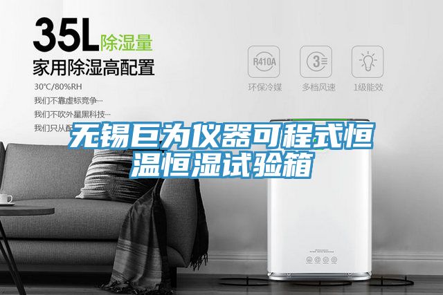 无锡巨为仪器可程式恒温恒湿试验箱
