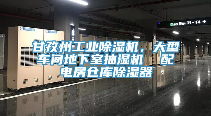 甘孜州工业除湿机，大型车间地下室抽湿机  配电房仓库除湿器