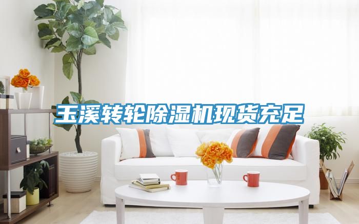玉溪转轮除湿机现货充足