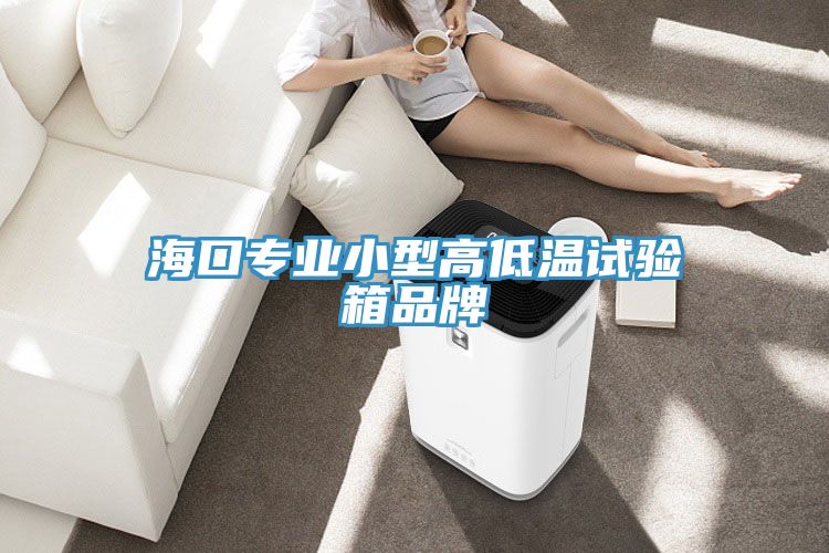 海口专业小型高低温试验箱品牌
