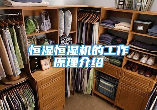 恒湿恒湿机的工作原理介绍