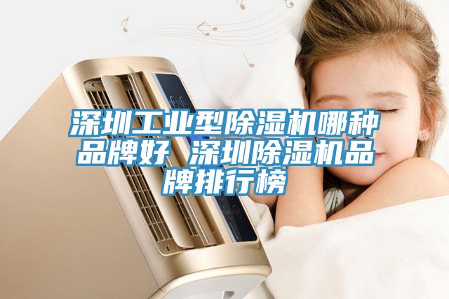 深圳工业型除湿机哪种品牌好 深圳除湿机品牌排行榜