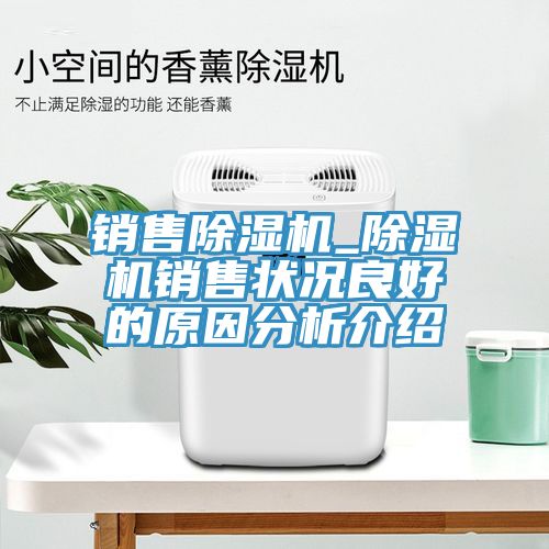 销售除湿机_除湿机销售状况良好的原因分析介绍