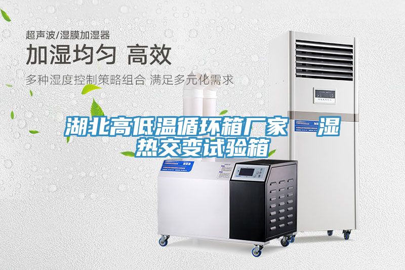 湖北高低温循环箱厂家  湿热交变试验箱