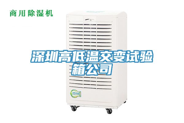 深圳高低温交变试验箱公司