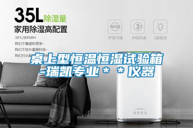 桌上型恒温恒湿试验箱-瑞凯专业＊＊仪器