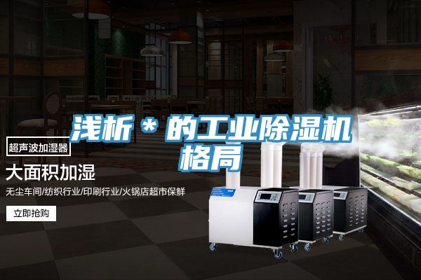 浅析＊的工业除湿机格局
