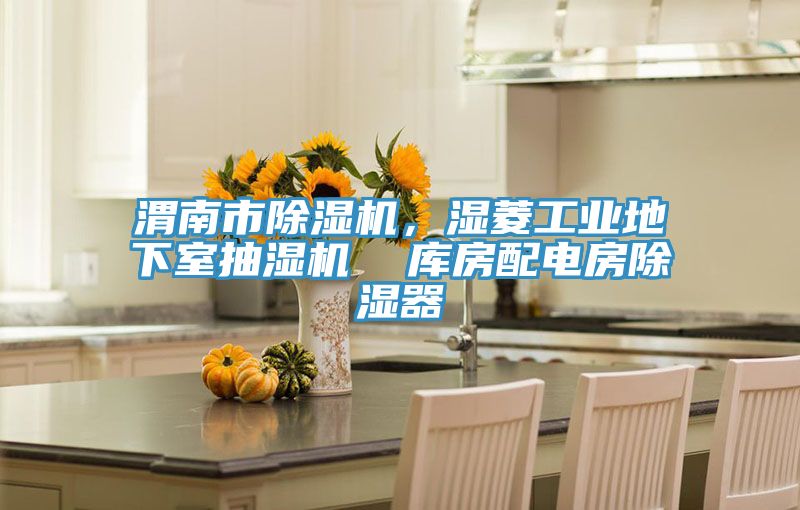 渭南市除湿机，湿菱工业地下室抽湿机  库房配电房除湿器
