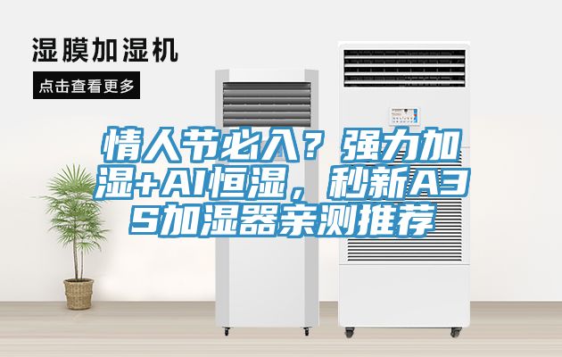 情人节必入？强力加湿+AI恒湿，秒新A3S加湿器亲测推荐