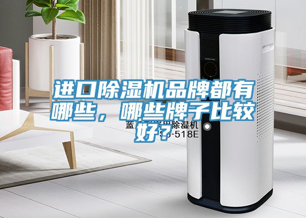 进口除湿机品牌都有哪些，哪些牌子比较好？