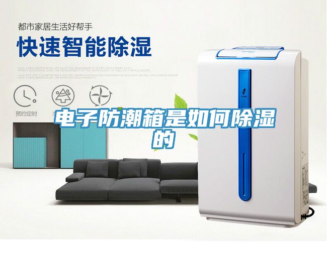 电子防潮箱是如何除湿的