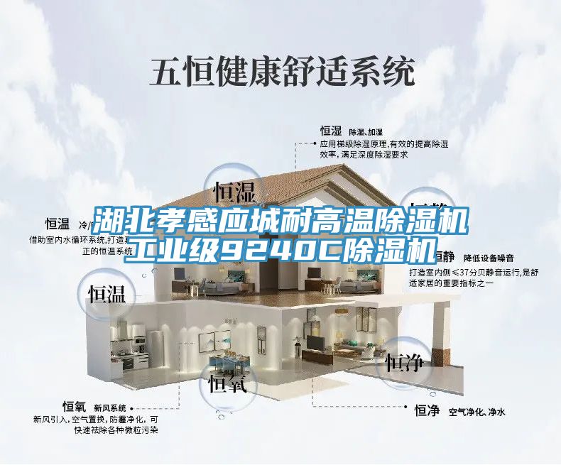 湖北孝感应城耐高温除湿机工业级9240C除湿机