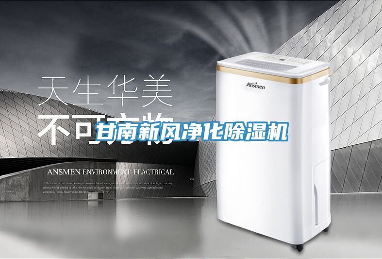 甘南新风净化除湿机