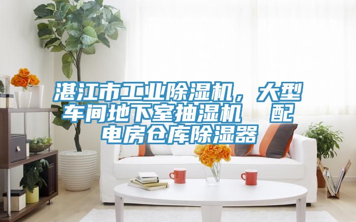 湛江市工业除湿机，大型车间地下室抽湿机  配电房仓库除湿器