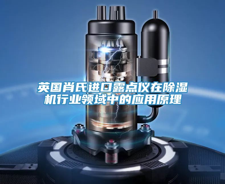 英国肖氏进口露点仪在除湿机行业领域中的应用原理