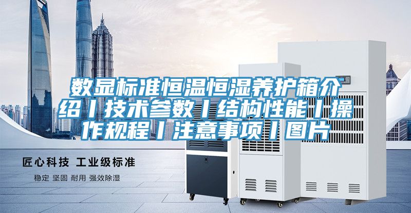 数显标准恒温恒湿养护箱介绍丨技术参数丨结构性能丨操作规程丨注意事项丨图片