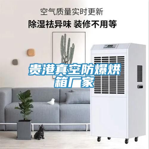 贵港真空防爆烘箱厂家