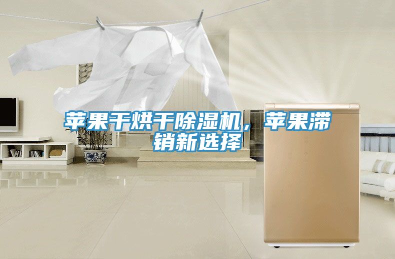 苹果干烘干除湿机，苹果滞销新选择