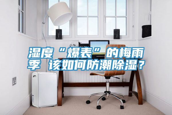 湿度“爆表”的梅雨季 该如何防潮除湿？