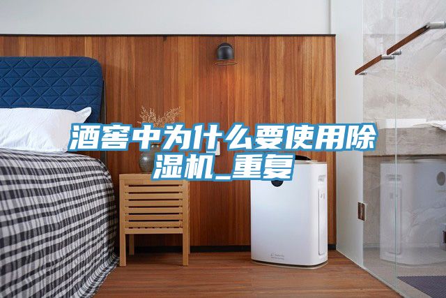 酒窖中为什么要使用除湿机_重复
