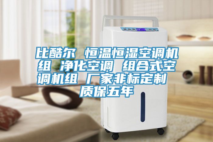比酷尔 恒温恒湿空调机组 净化空调 组合式空调机组 厂家非标定制 质保五年