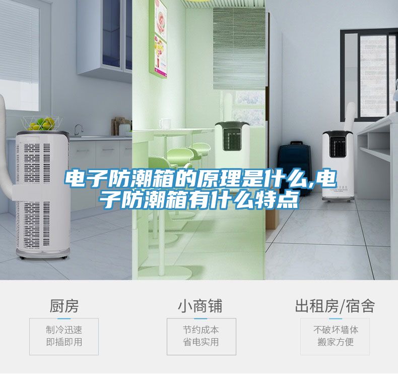 电子防潮箱的原理是什么,电子防潮箱有什么特点