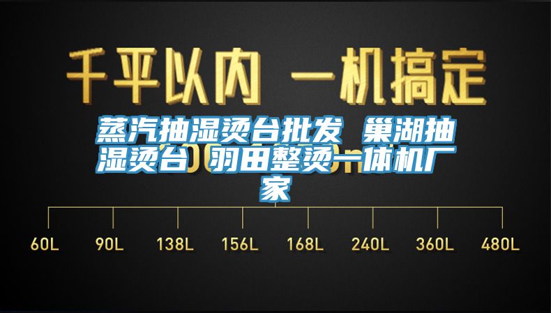 蒸汽抽湿烫台批发 巢湖抽湿烫台 羽田整烫一体机厂家
