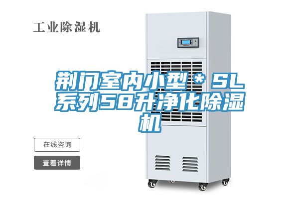 荆门室内小型＊SL系列58升净化除湿机