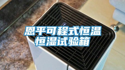 恩平可程式恒温恒湿试验箱