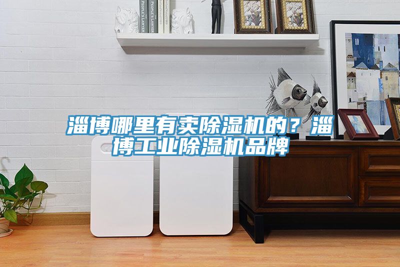 淄博哪里有卖除湿机的？淄博工业除湿机品牌