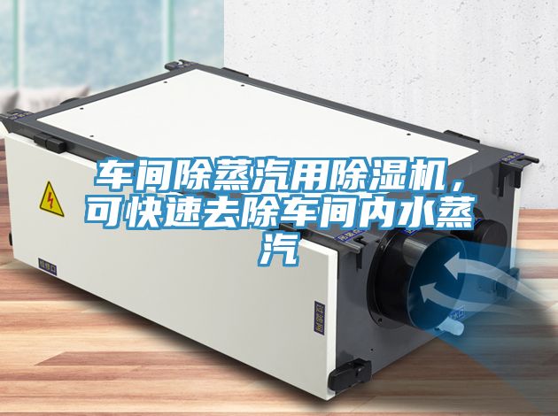车间除蒸汽用除湿机，可快速去除车间内水蒸汽